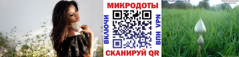 Псилоцибиновые грибы MAGIC MUSHROOMS  даркнет сайт  Мосальск 